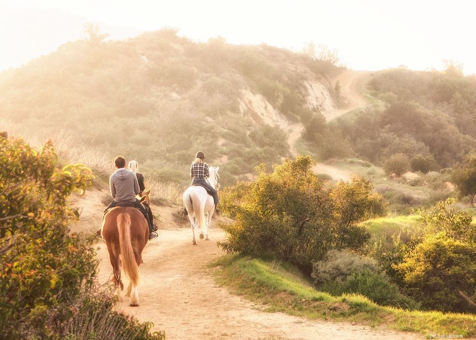 Essential Tacking Tips: Avoid Common Mistakes for Safe, Comfortable Rides
