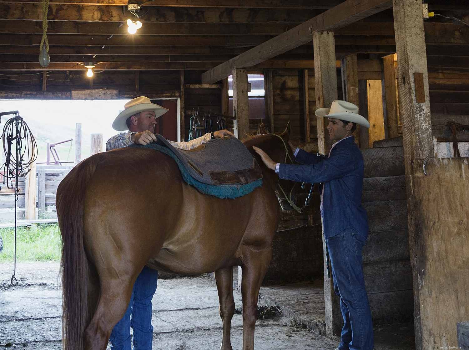 Essential Tacking Tips: Avoid Common Mistakes for Safe, Comfortable Rides