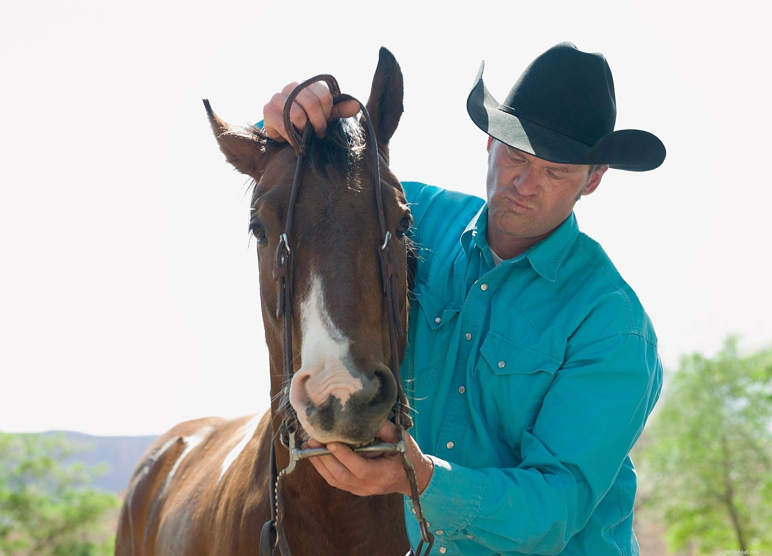 Essential Tacking Tips: Avoid Common Mistakes for Safe, Comfortable Rides