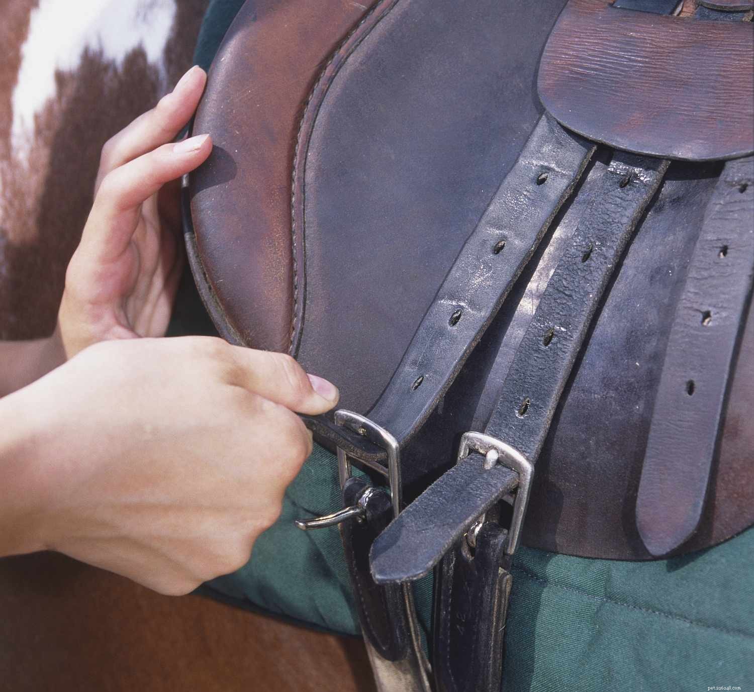 Essential Tacking Tips: Avoid Common Mistakes for Safe, Comfortable Rides