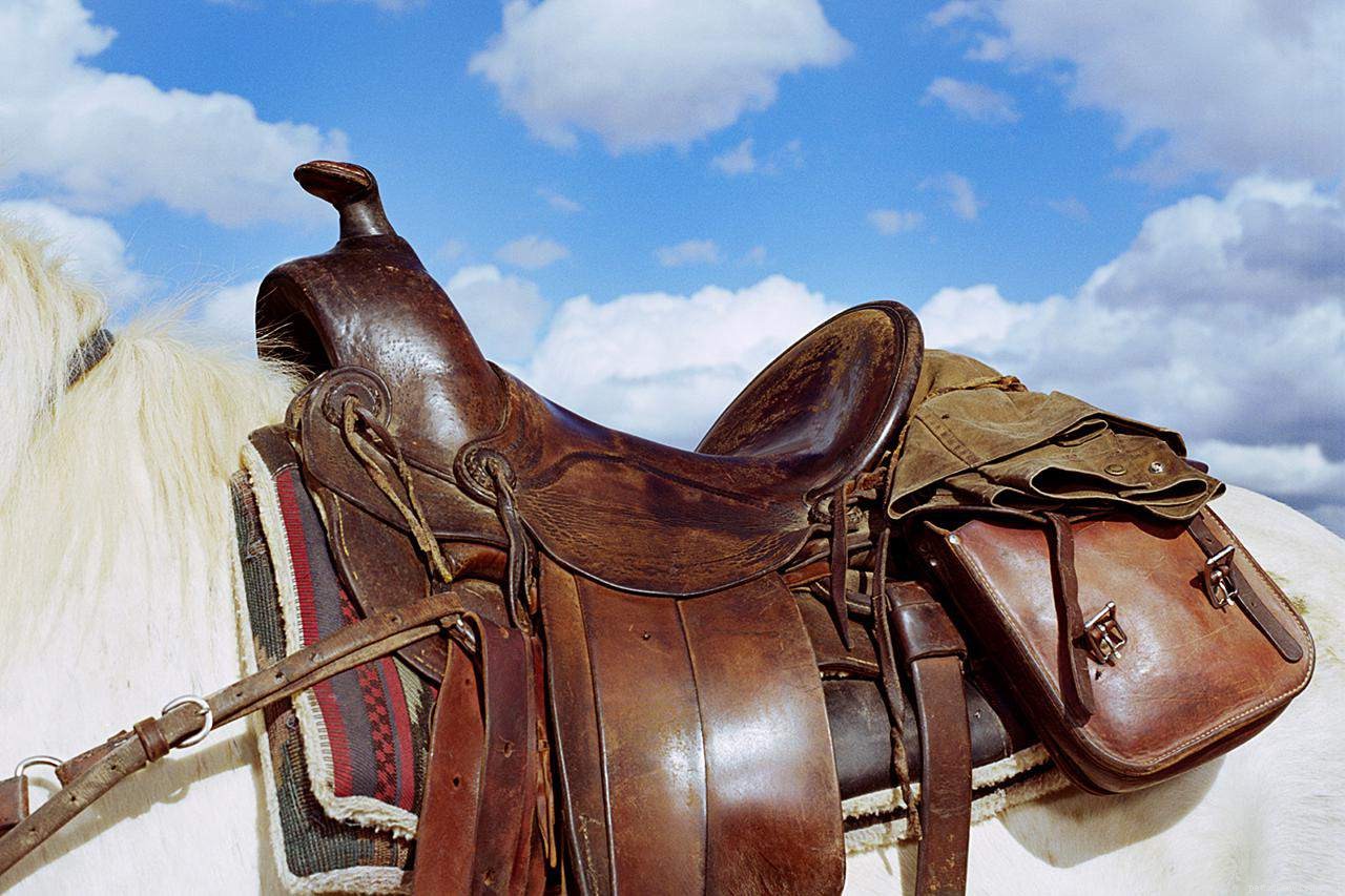 Essential Tacking Tips: Avoid Common Mistakes for Safe, Comfortable Rides