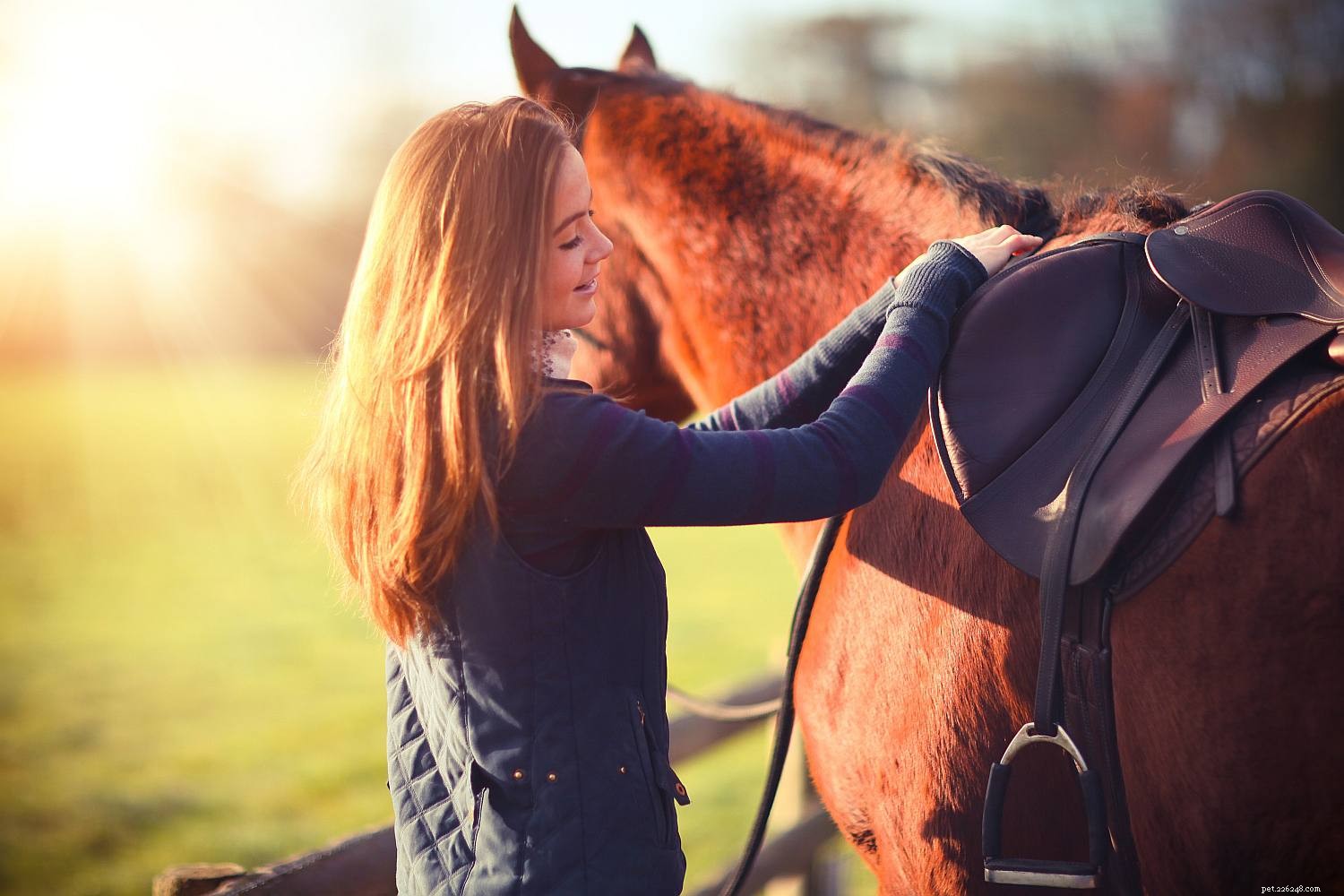 Essential Tacking Tips: Avoid Common Mistakes for Safe, Comfortable Rides