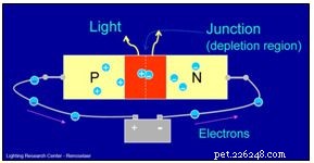 Should You Upgrade Your Reef Tank to LED Lighting?