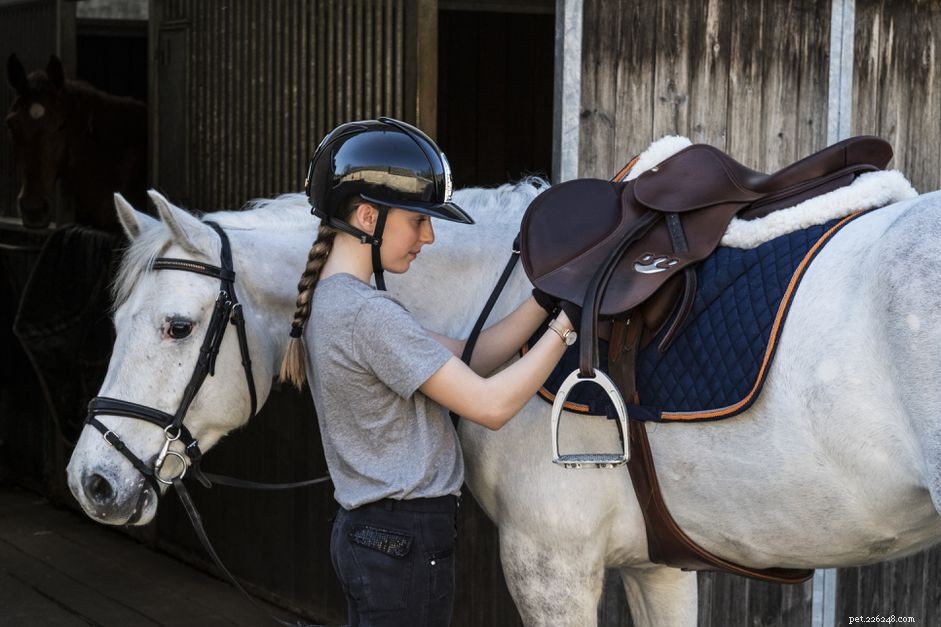Understanding Saddle Girths: Essential Guide for Secure Riding