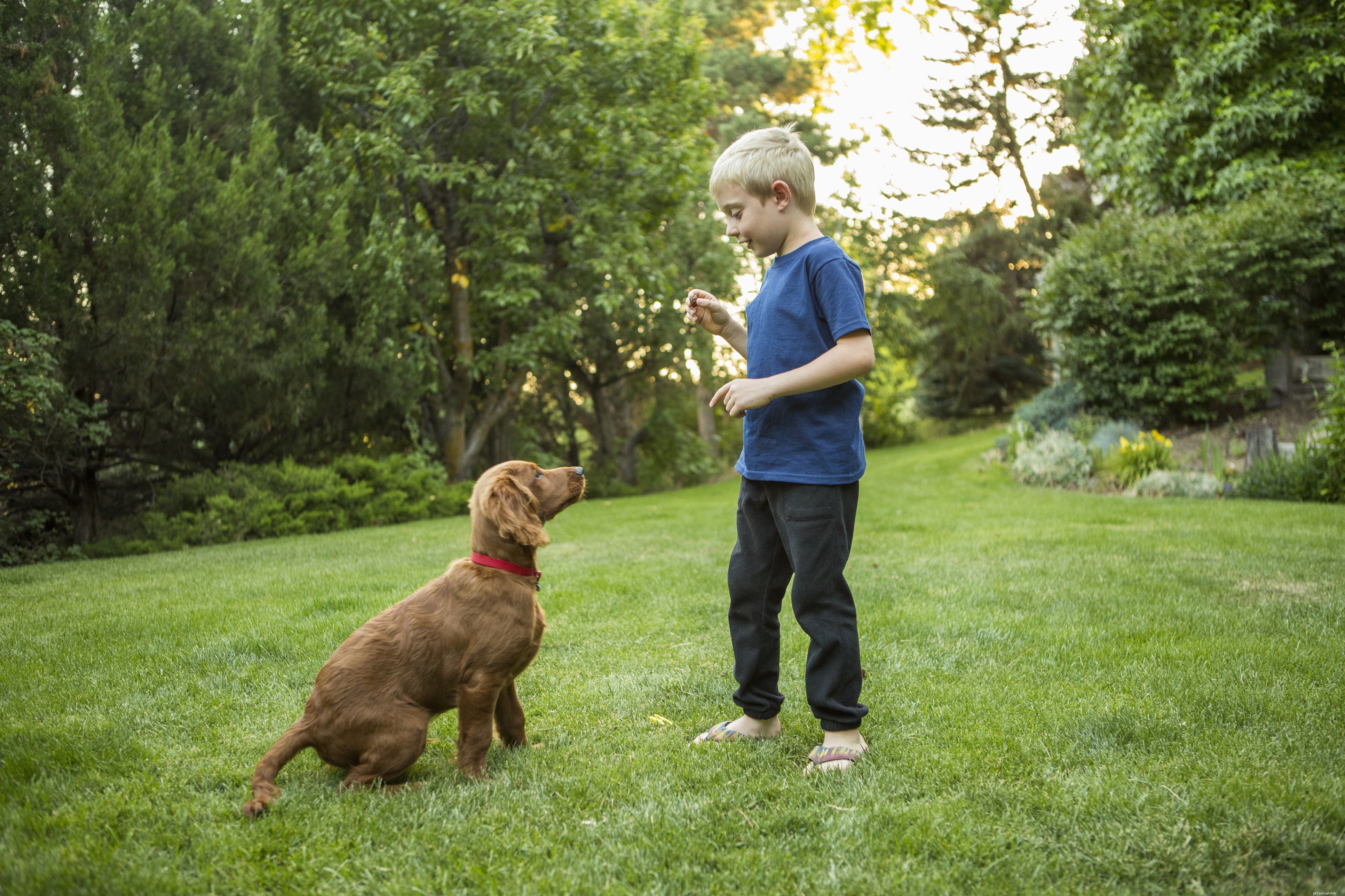 Decoding Puppy Language: How Puppies Communicate With Their Human Companions