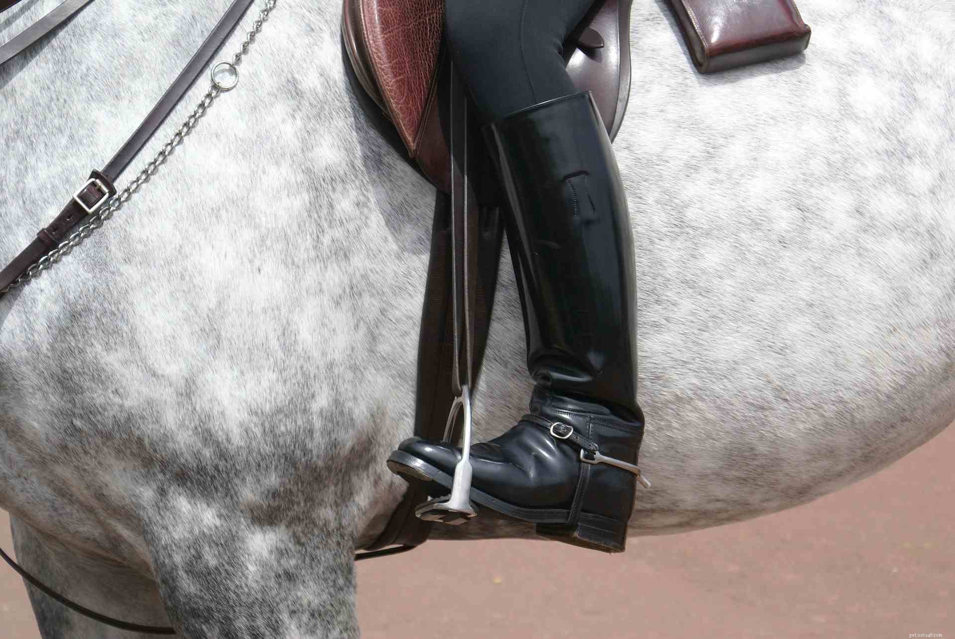 Choosing the Perfect English Girth for Your Horse: A Practical Guide