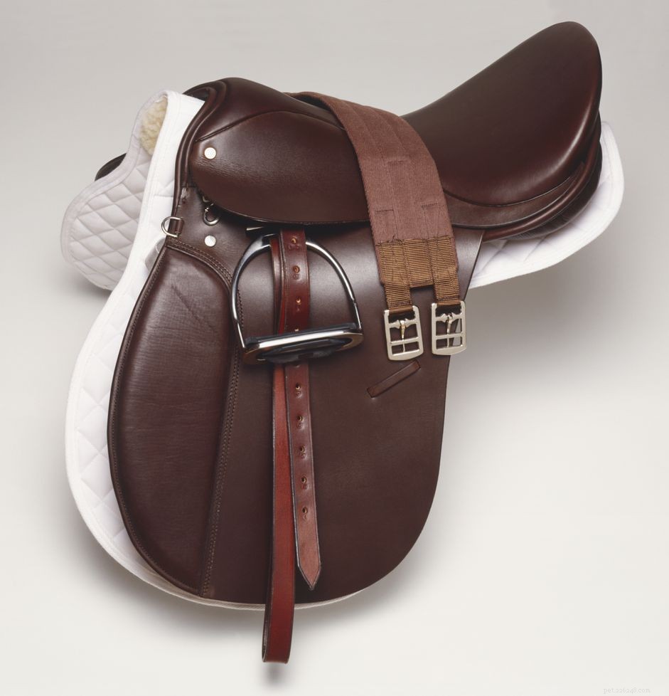 Choosing the Perfect English Girth for Your Horse: A Practical Guide
