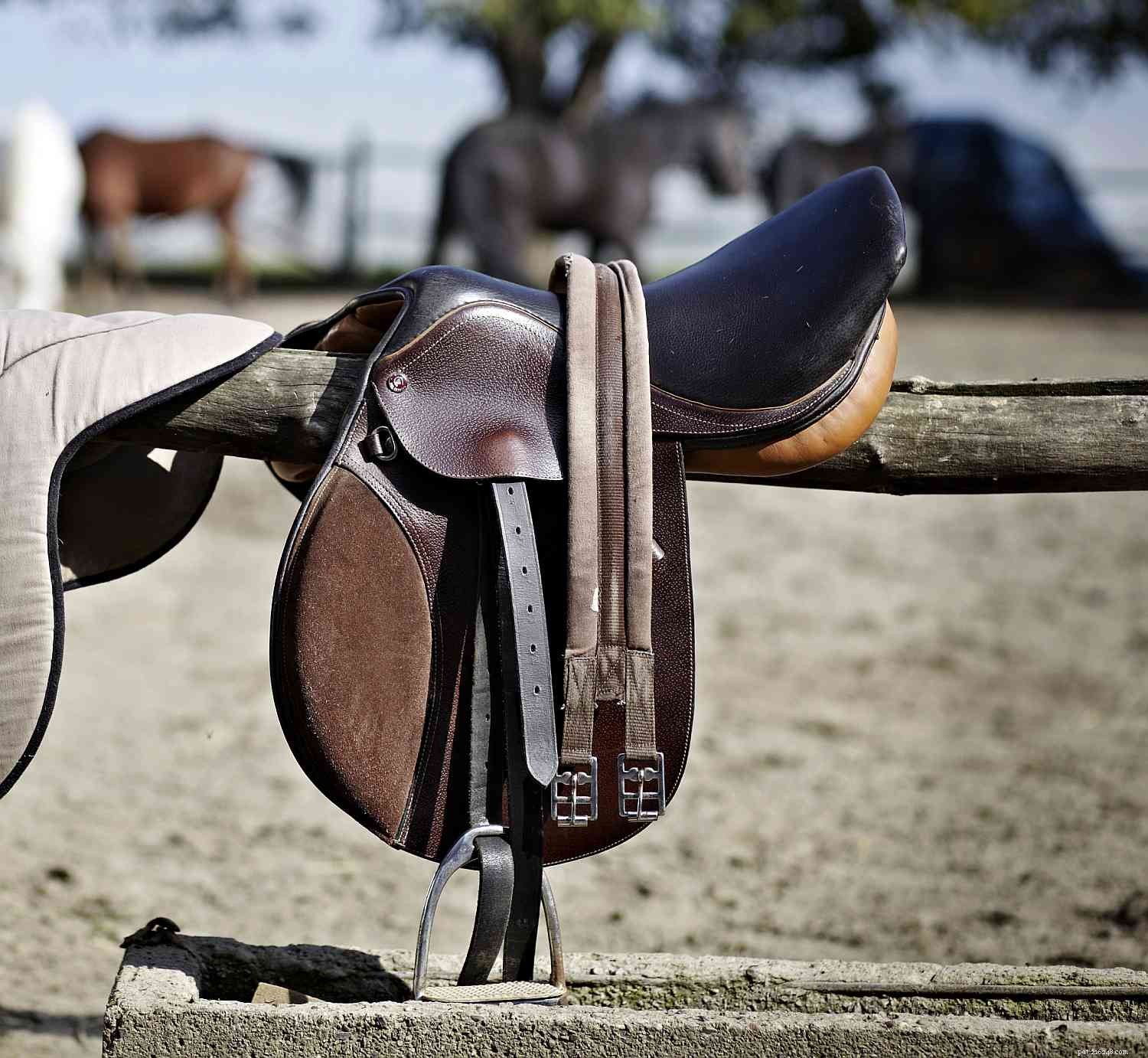 Choosing the Perfect English Girth for Your Horse: A Practical Guide