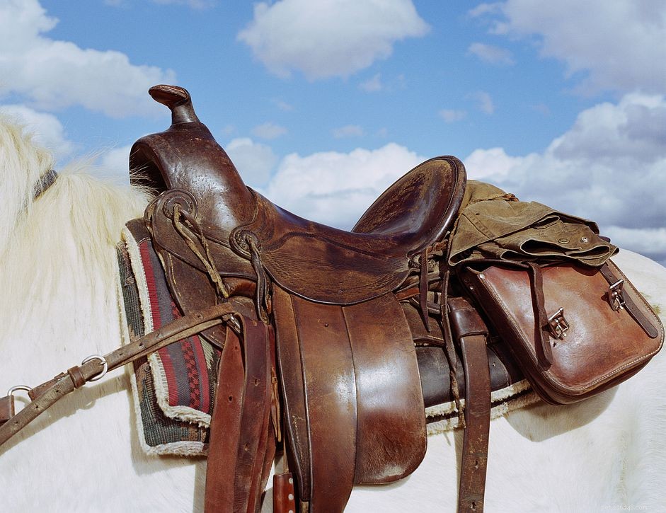 Leather vs. Synthetic Tack: Expert Tips for Choosing the Right Gear