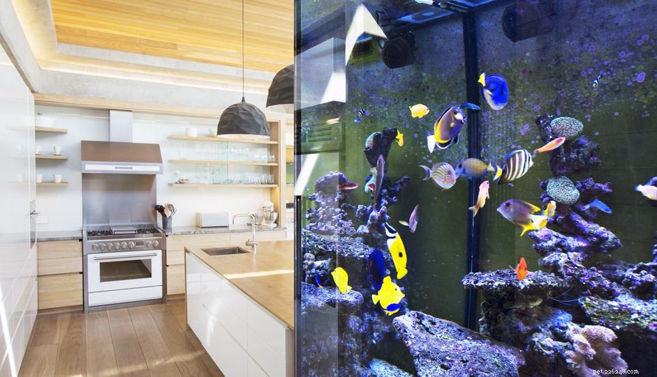 How to Effectively Treat Aquarium Water