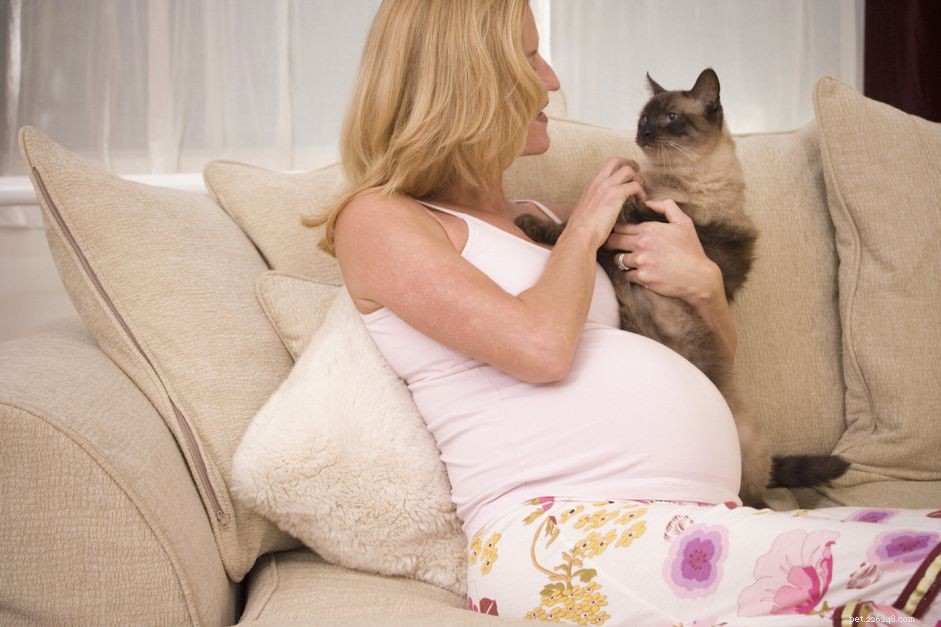 Safe & Stress‑Free: Introducing Your Cat to a Newborn Baby
