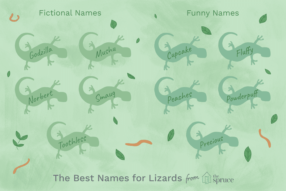 Creative Names for Pet Lizards: Ideas for Geckos, Dragons, and Skinks