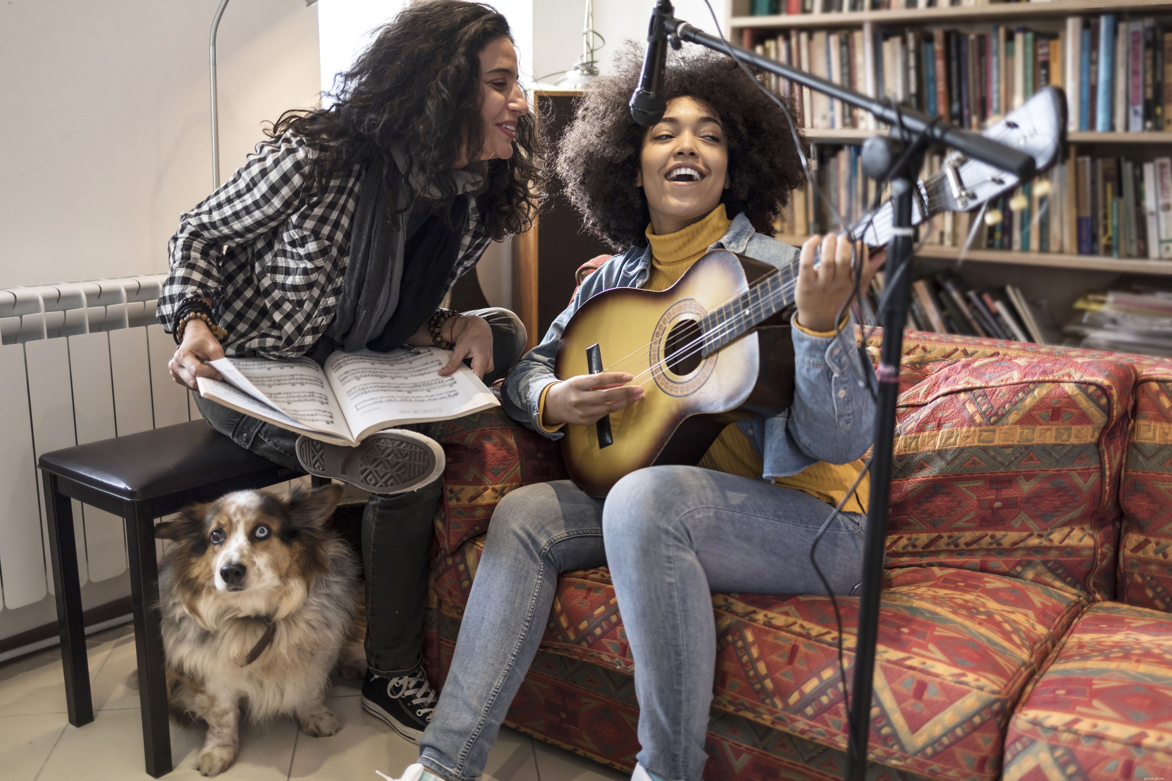 Puppy Music Therapy: Calm, Comfort & Confidence