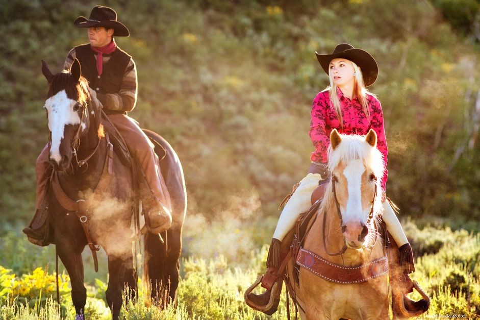 Managing Pulling and Rooting in Horses: Proven Strategies