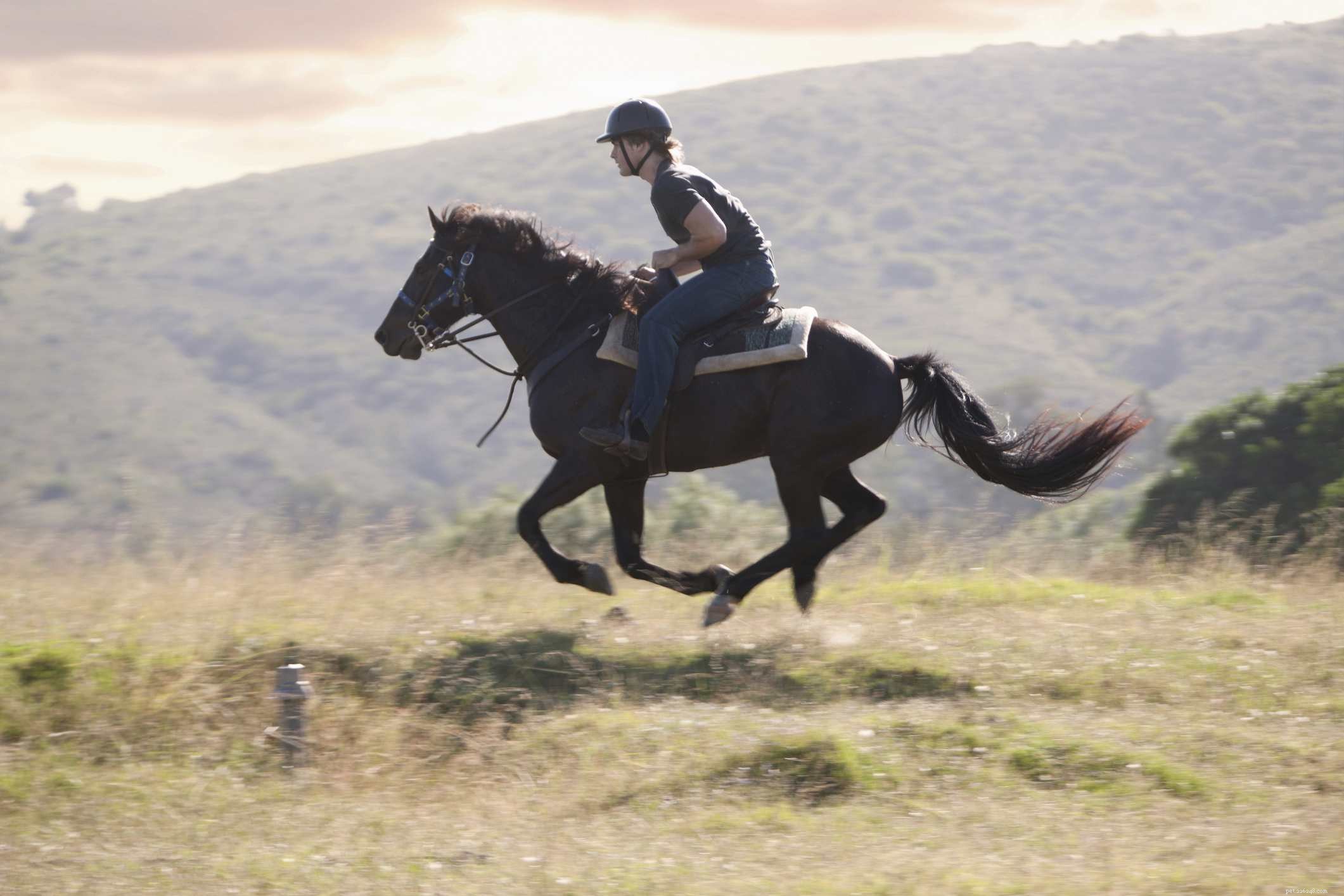 11 Bad Horse Riding Habits to Avoid for Safer, More Comfortable Rides