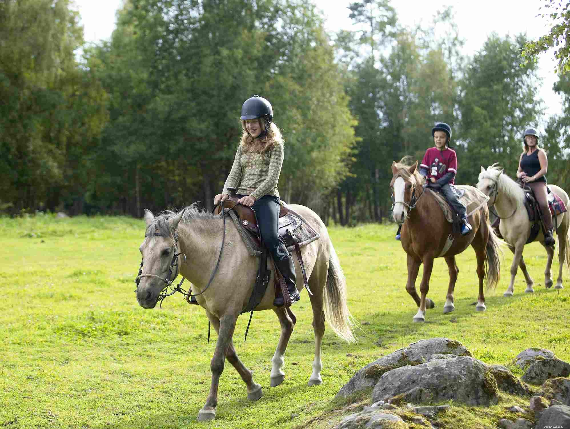 11 Bad Horse Riding Habits to Avoid for Safer, More Comfortable Rides