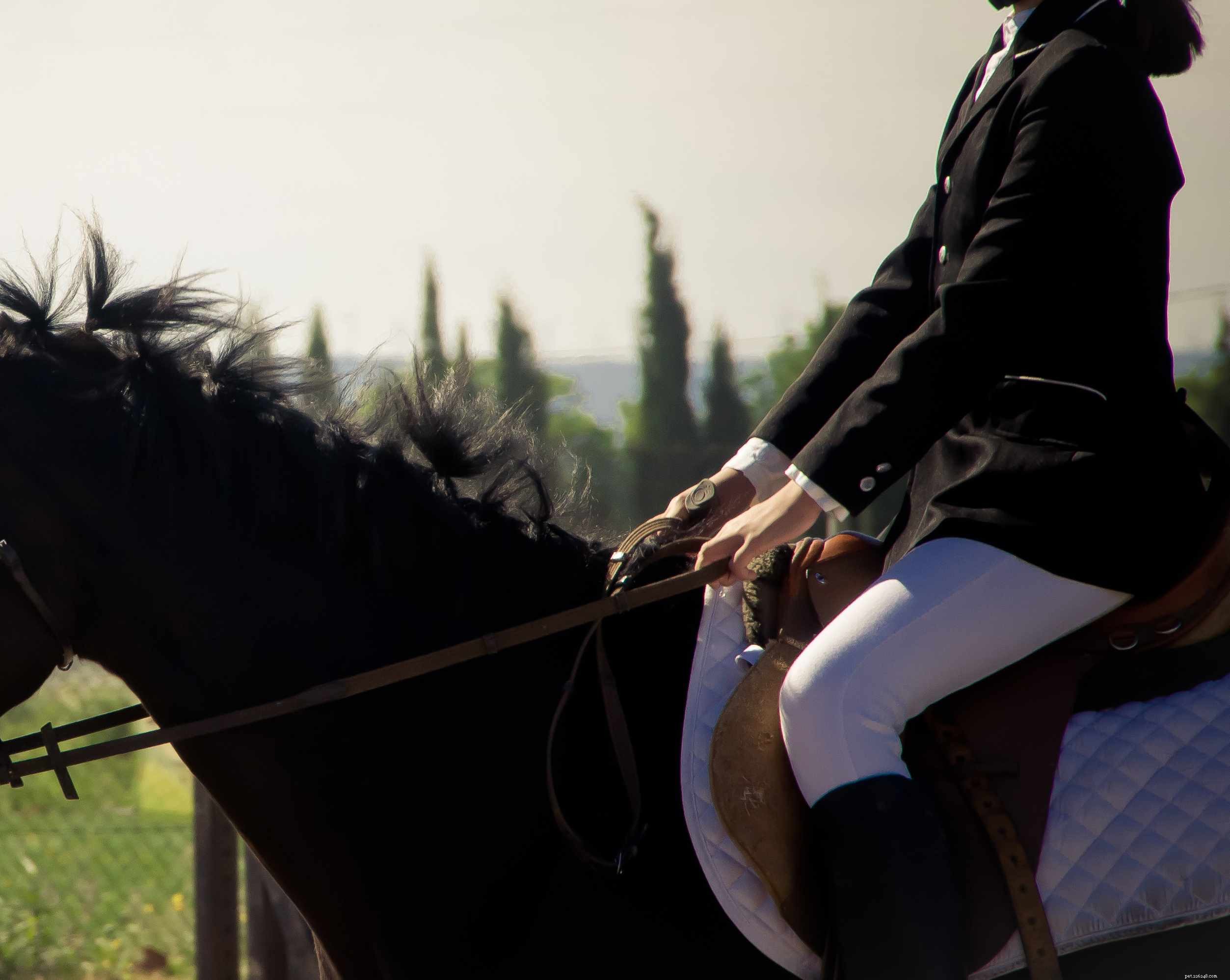 11 Bad Horse Riding Habits to Avoid for Safer, More Comfortable Rides