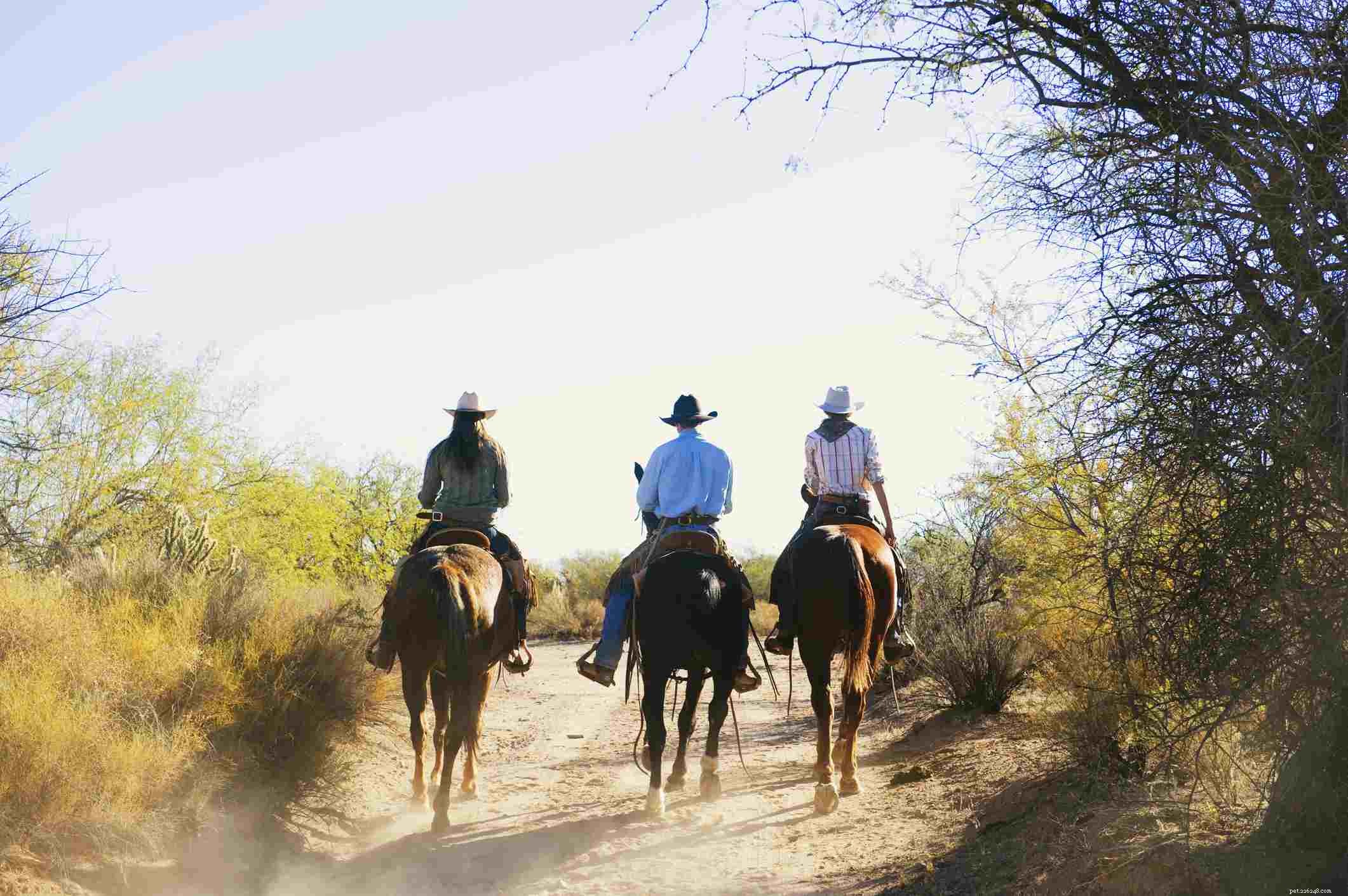 11 Bad Horse Riding Habits to Avoid for Safer, More Comfortable Rides