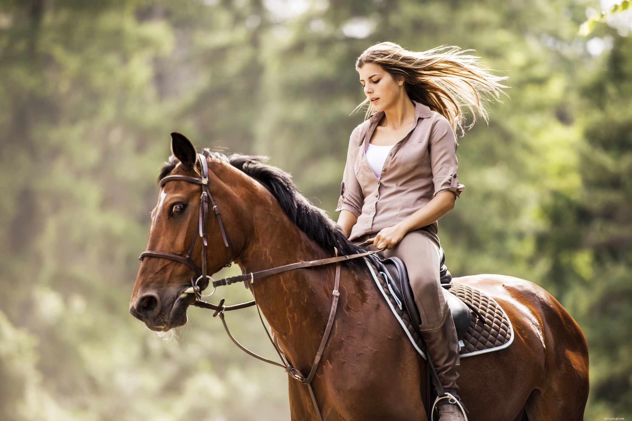 11 Bad Horse Riding Habits to Avoid for Safer, More Comfortable Rides