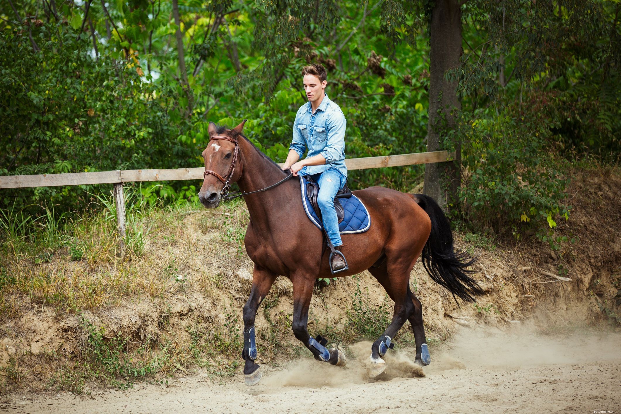 11 Bad Horse Riding Habits to Avoid for Safer, More Comfortable Rides