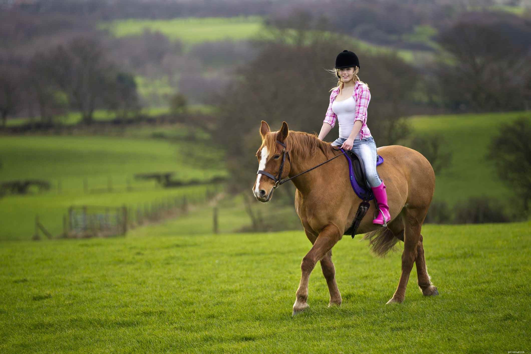 11 Bad Horse Riding Habits to Avoid for Safer, More Comfortable Rides