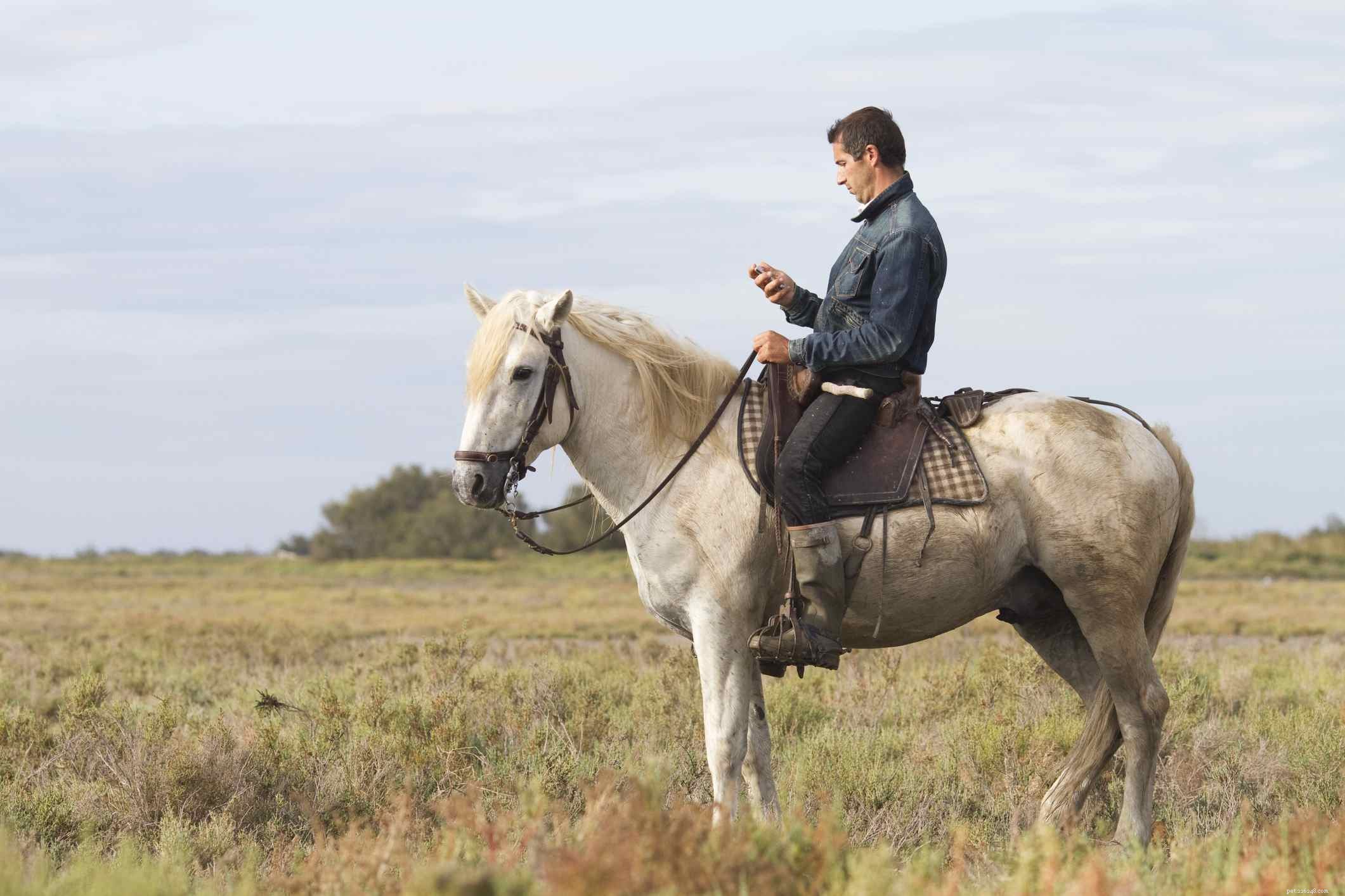 11 Bad Horse Riding Habits to Avoid for Safer, More Comfortable Rides