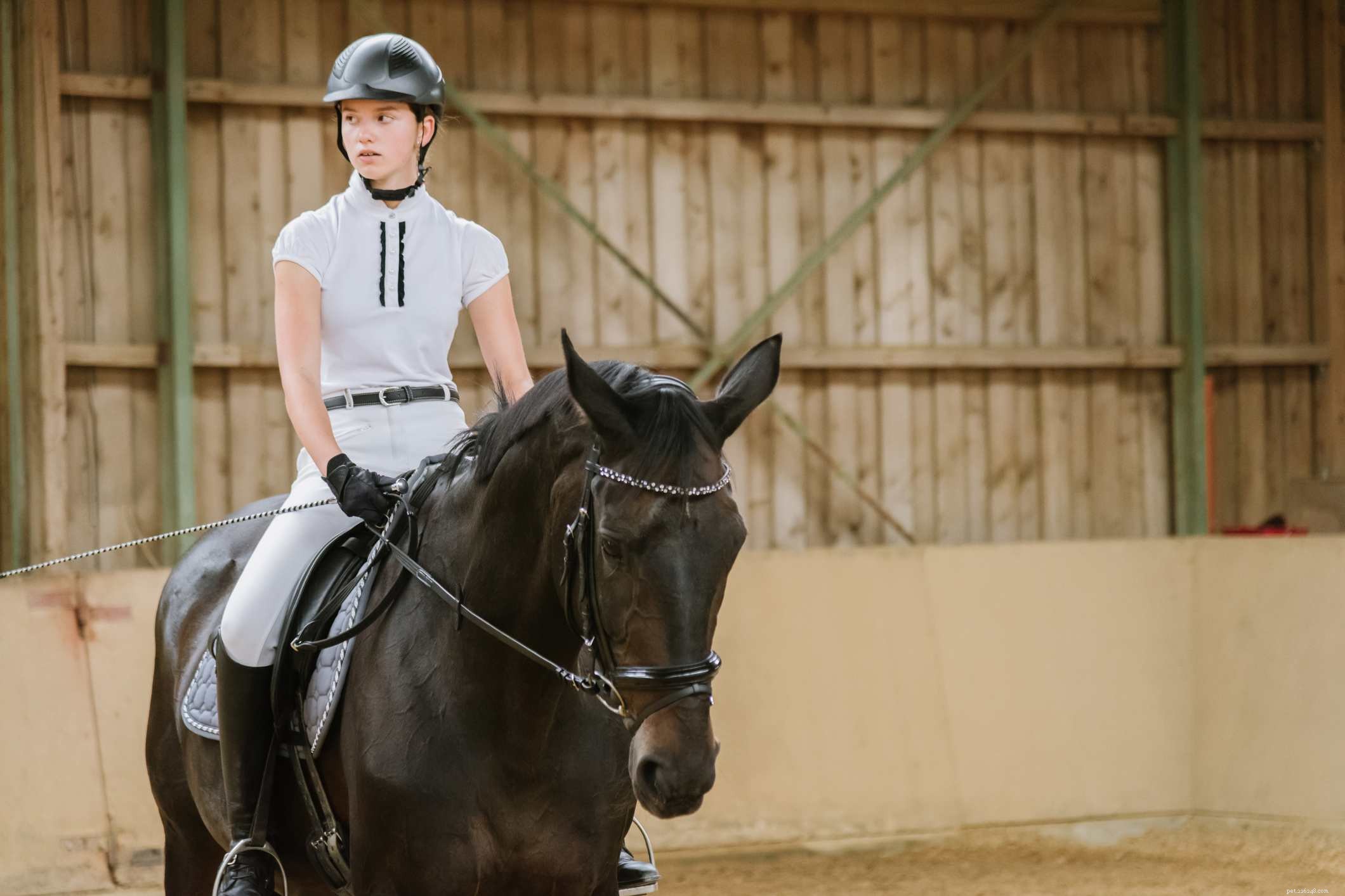 11 Bad Horse Riding Habits to Avoid for Safer, More Comfortable Rides