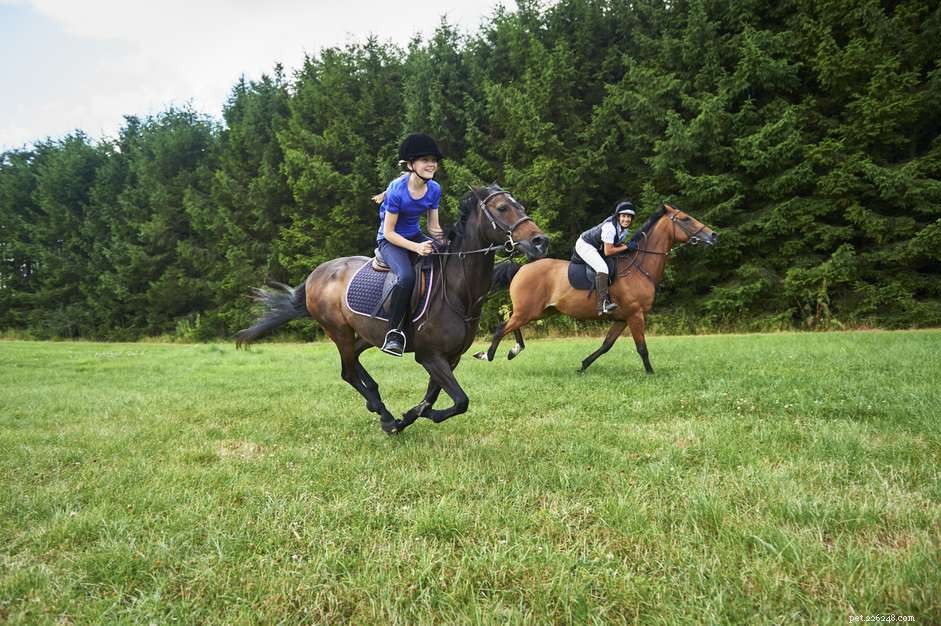 Master Safe Horseback Riding: Expert Tips & Best Practices