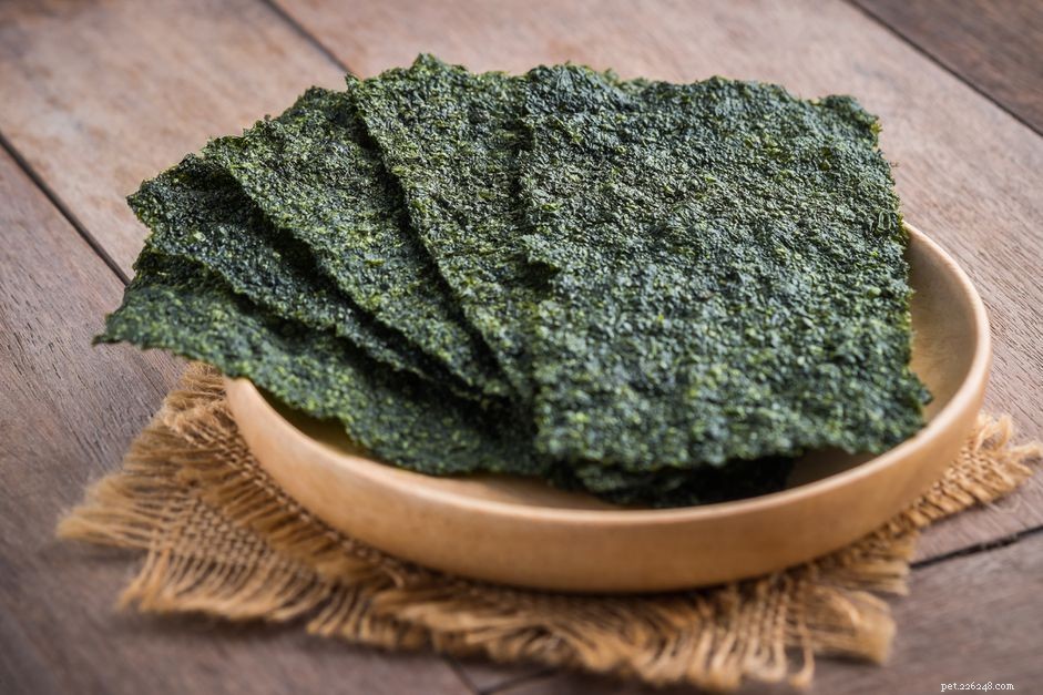 Nori: A Nutritious Seaweed Food for Saltwater Aquarium Fish