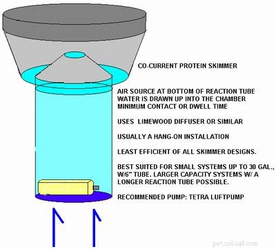 Comprehensive Saltwater Aquarium Charts, Tables, and Diagrams for Accurate Tank Construction