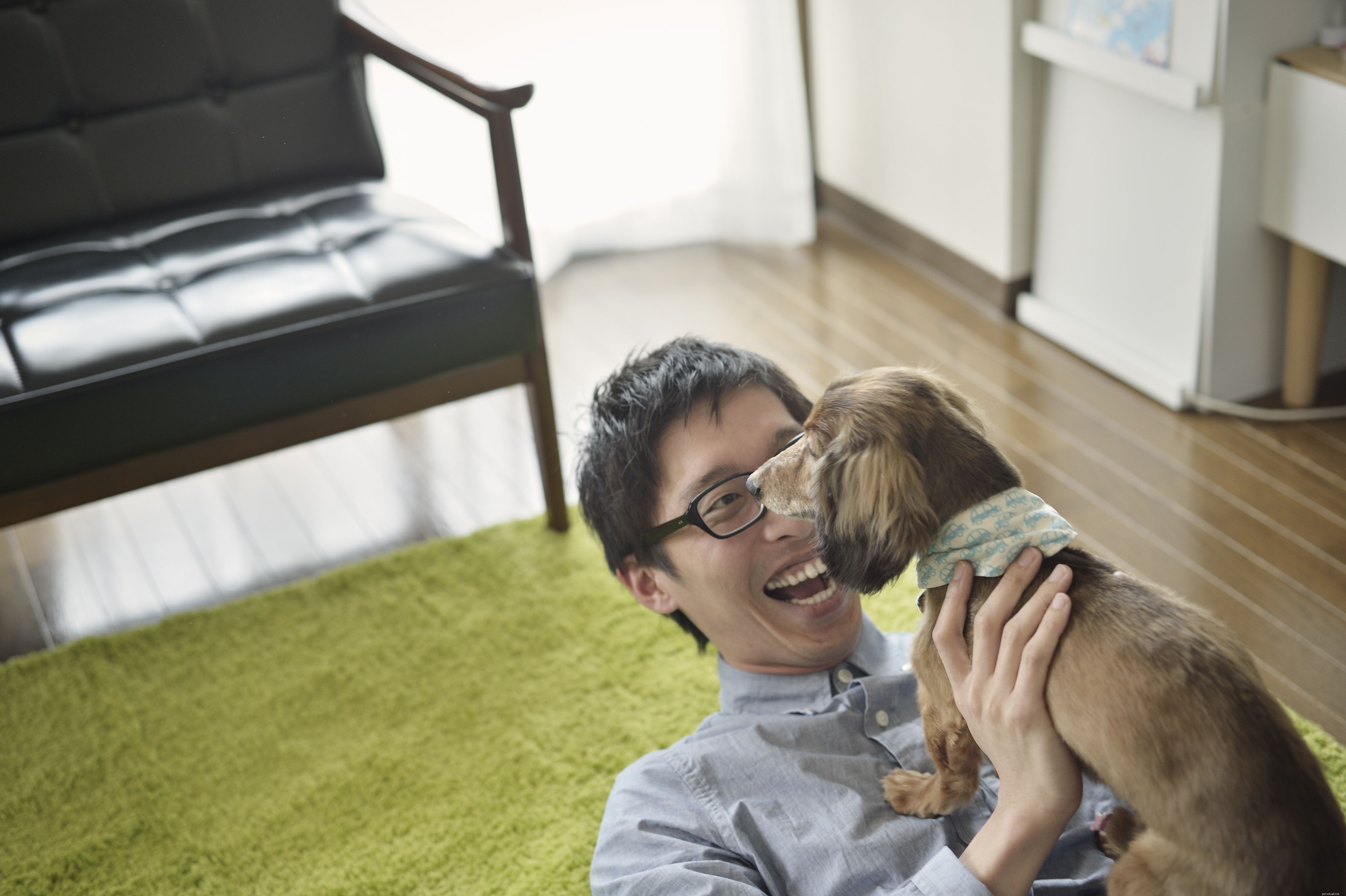 Choosing the Perfect Dog: A Guide to Finding Your Ideal Companion
