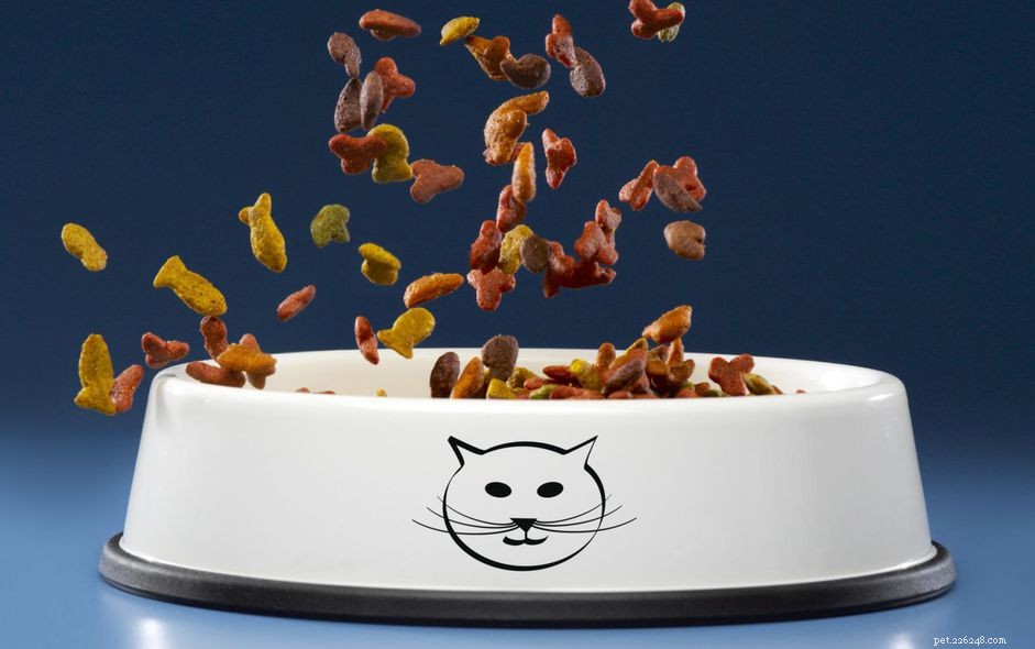 Expert Guide: How to Choose the Best Cat Food for Your Feline Companion