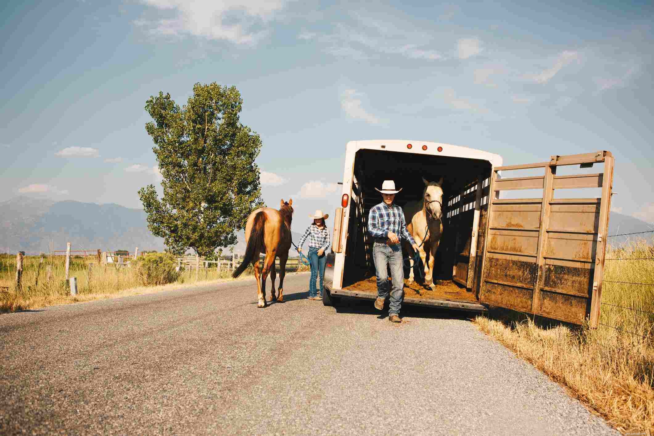 Choosing the Right Horse Trailer: Types, Sizes, and Key Features
