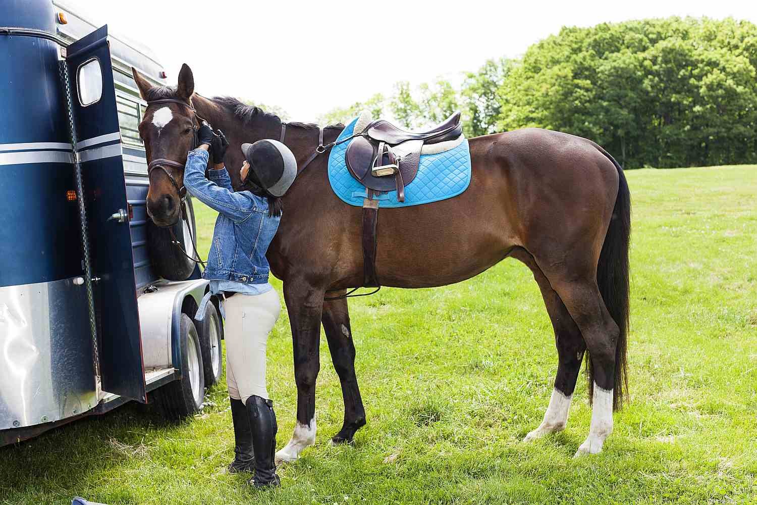 Choosing the Right Horse Trailer: Types, Sizes, and Key Features