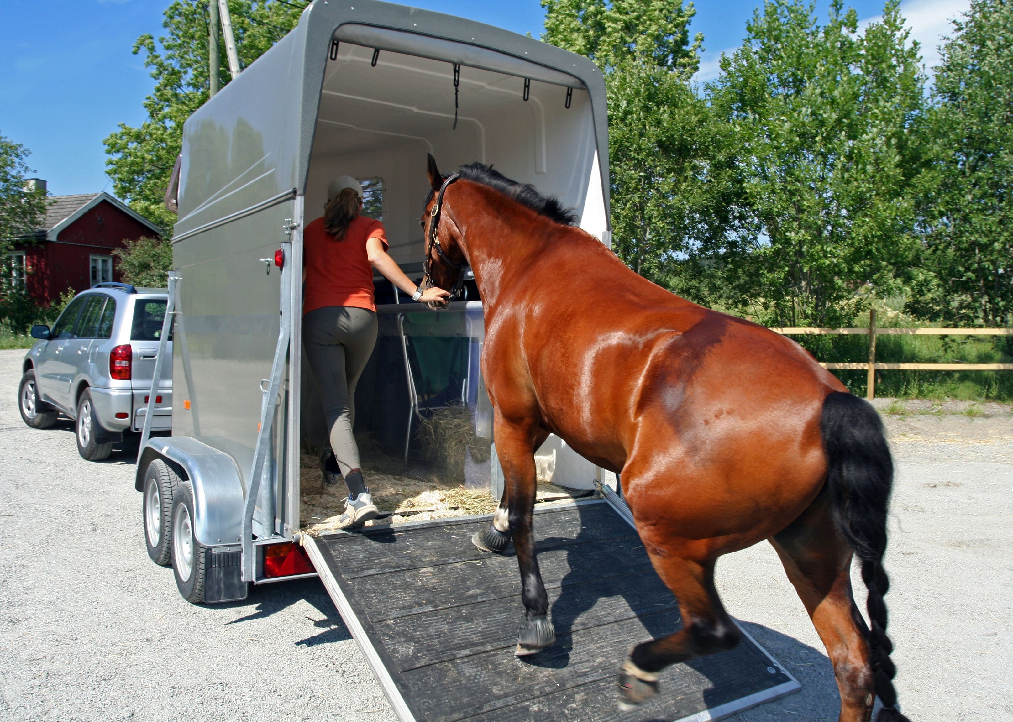 Choosing the Right Horse Trailer: Types, Sizes, and Key Features