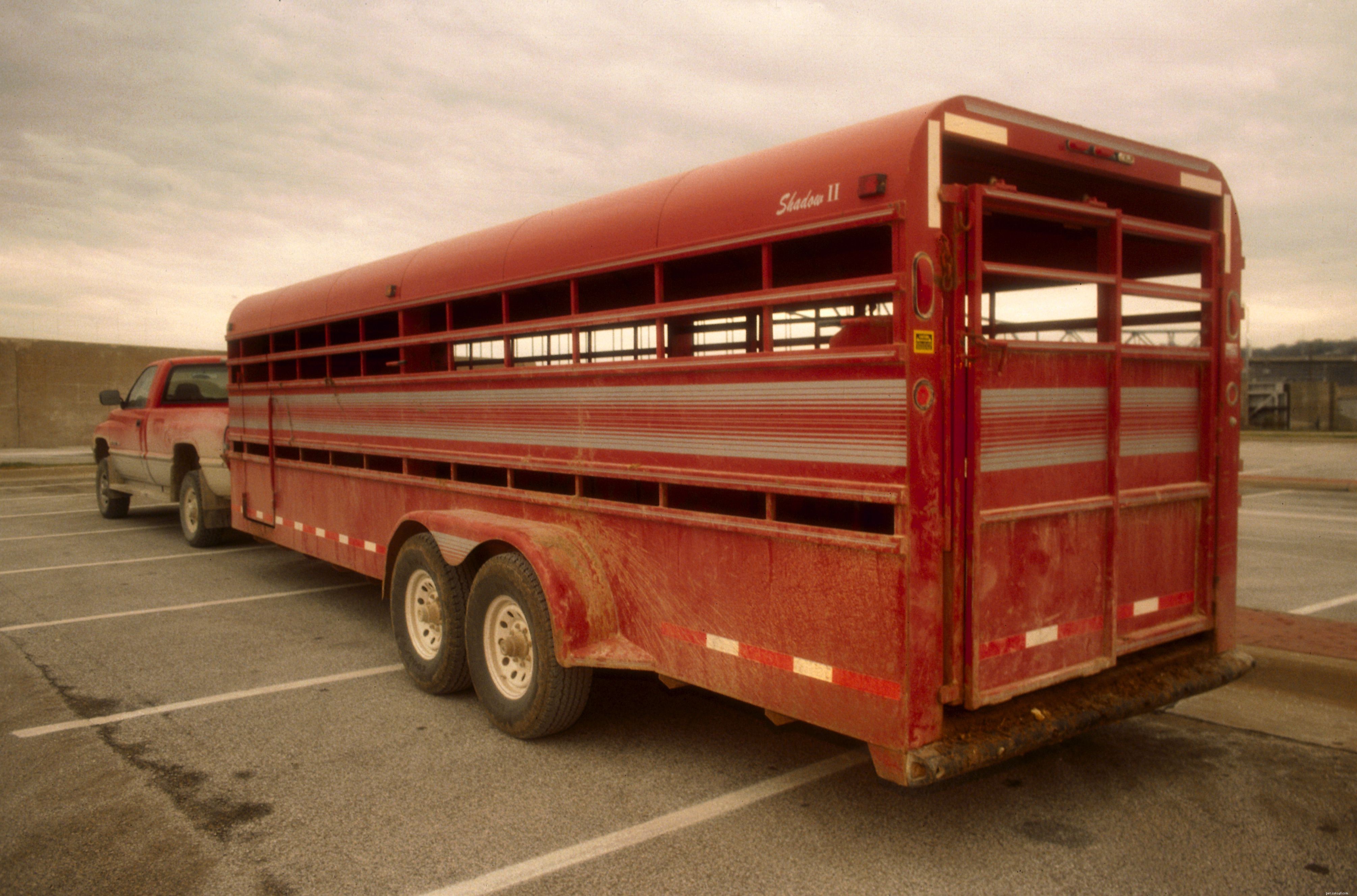 Choosing the Right Horse Trailer: Types, Sizes, and Key Features
