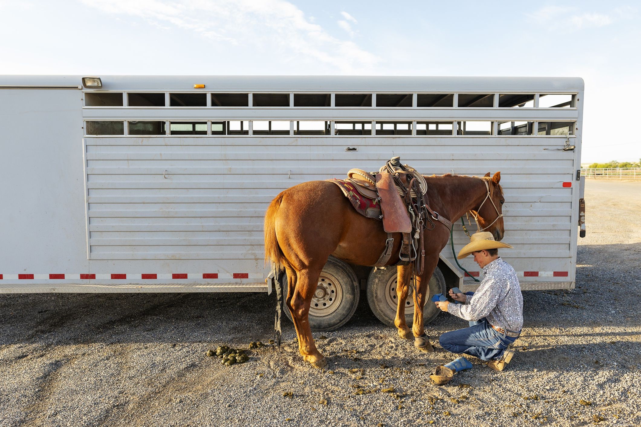Choosing the Right Horse Trailer: Types, Sizes, and Key Features