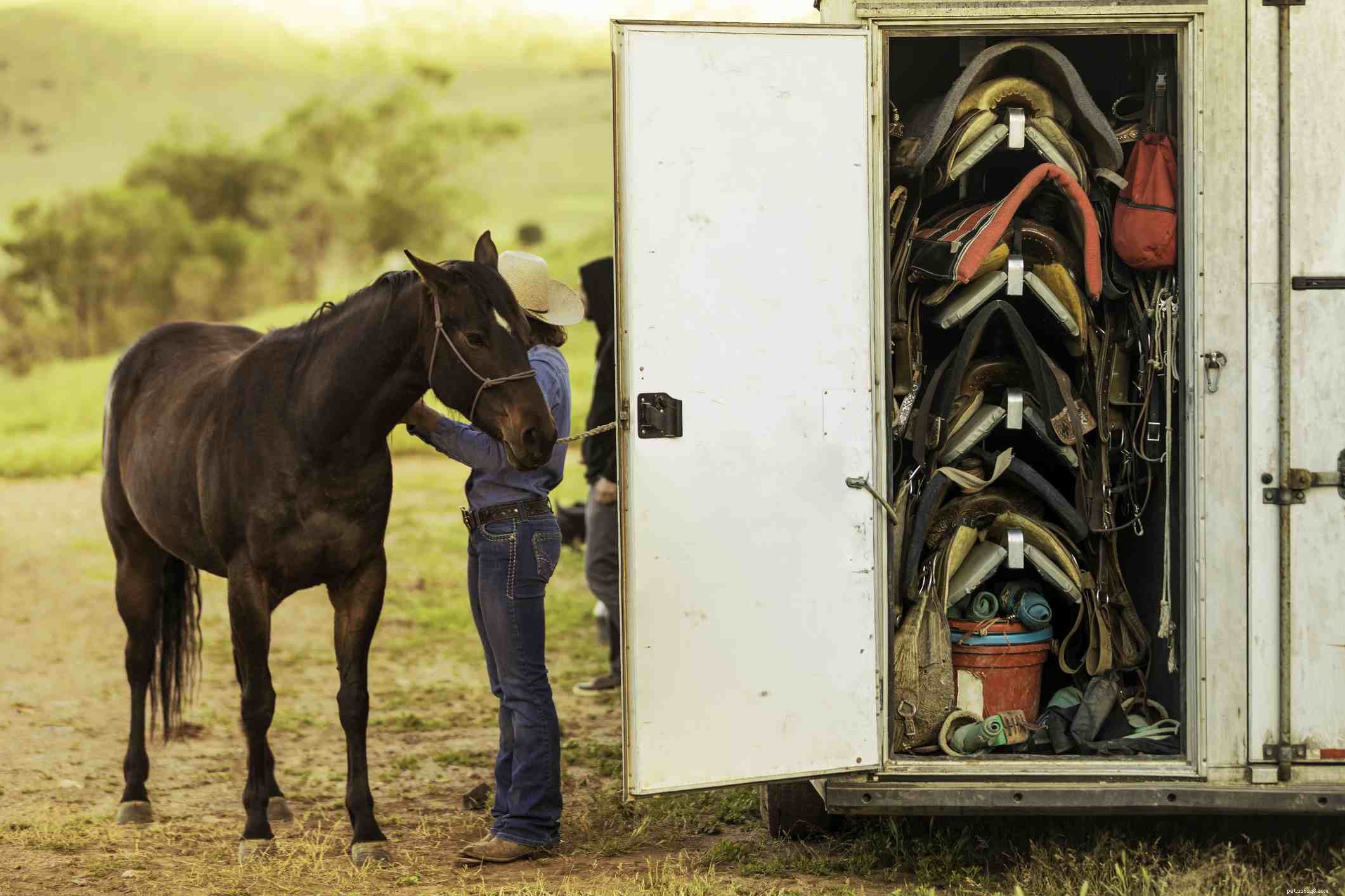 Choosing the Right Horse Trailer: Types, Sizes, and Key Features