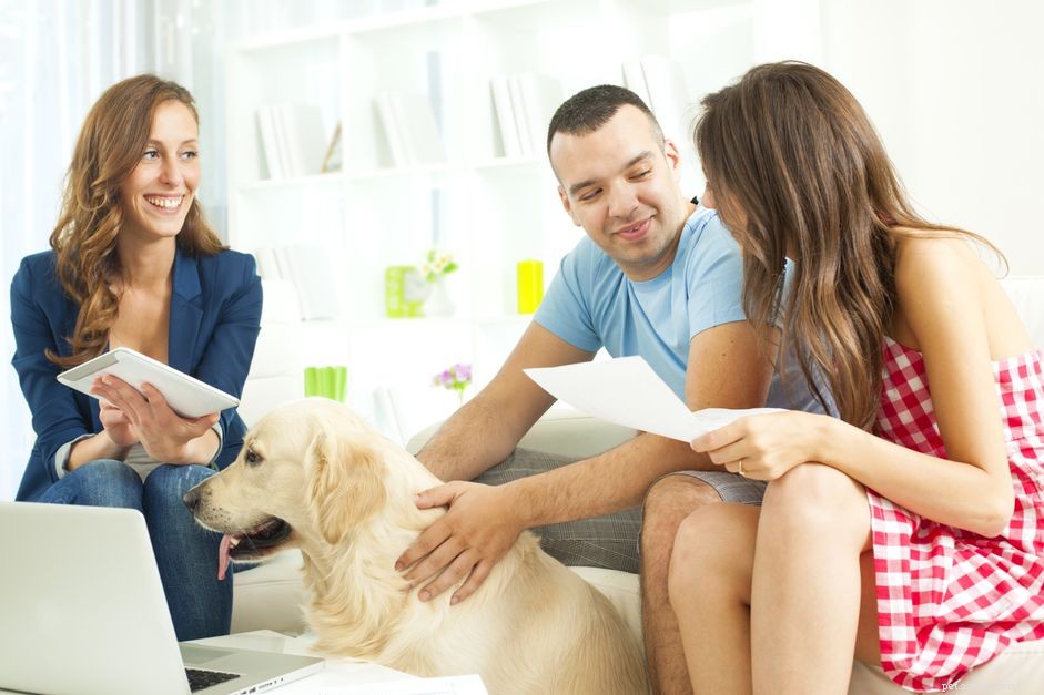 How to Legally Bring a Dog into Your Rental Home