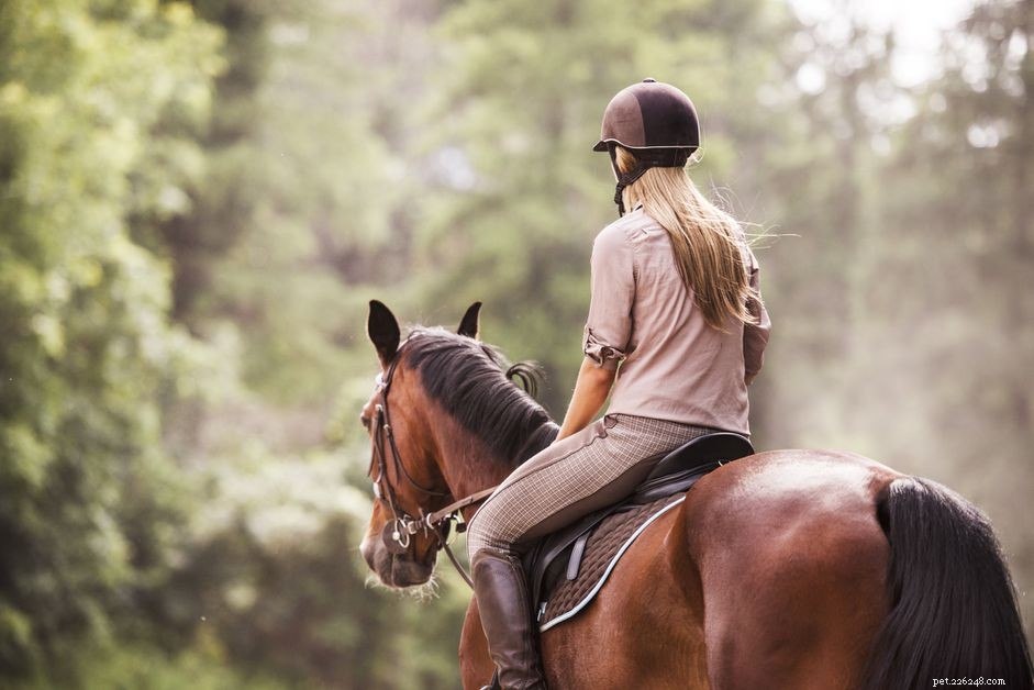 Master the Saddle: Secure & Balanced Riding Posture for Confidence & Control