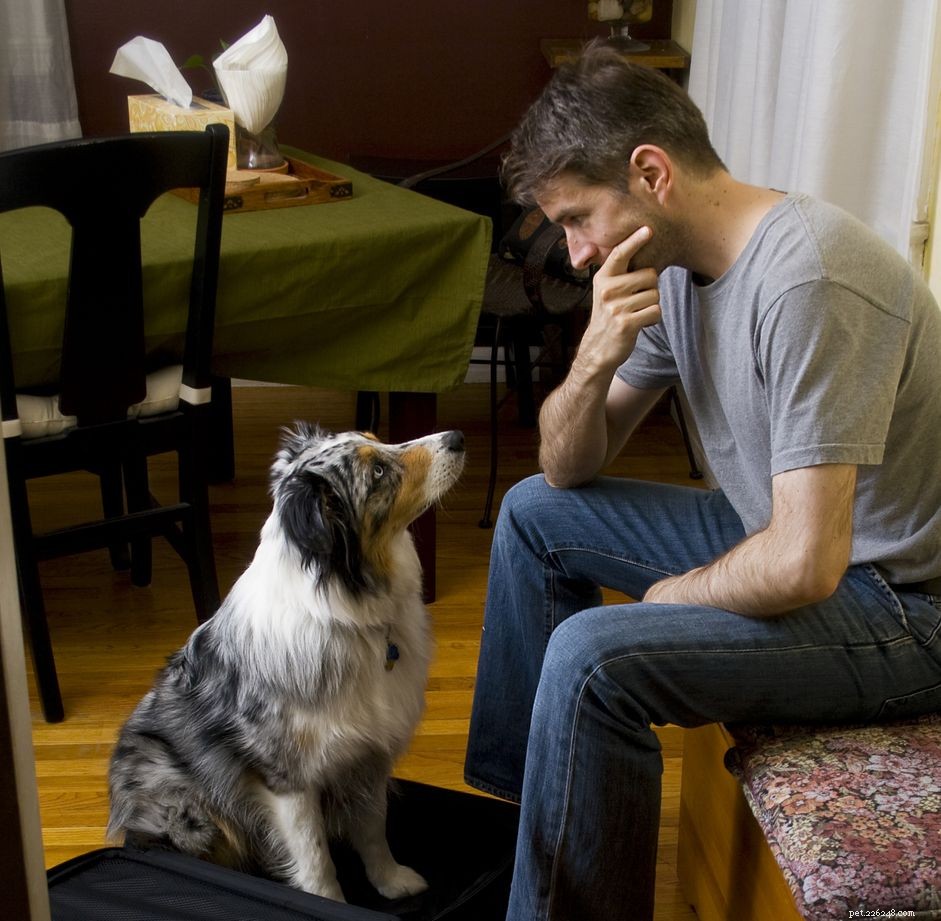 How to Find a Loving Home for Your Dog After a Difficult Decision
