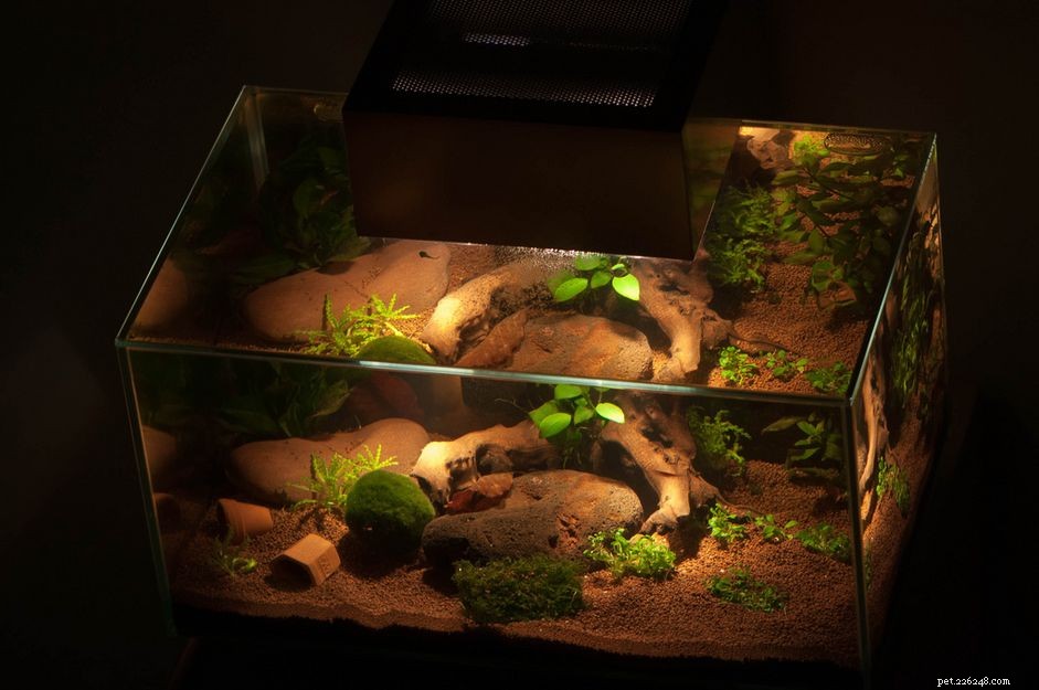 Avoid Sudden Sump Overflows: Proven Prevention Tips for Aquariums