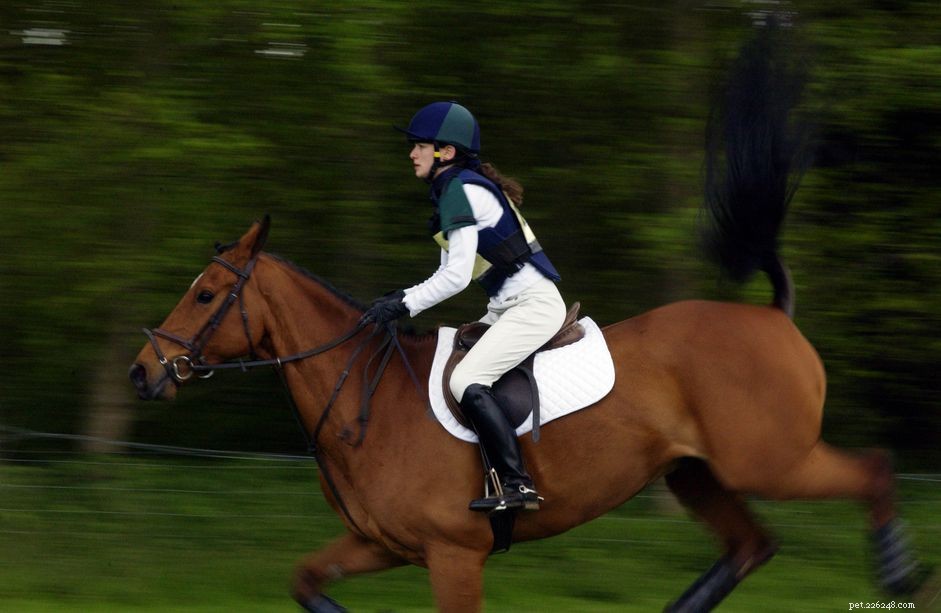 Prevent Horse Bucking: Proven Strategies for Calm Riding