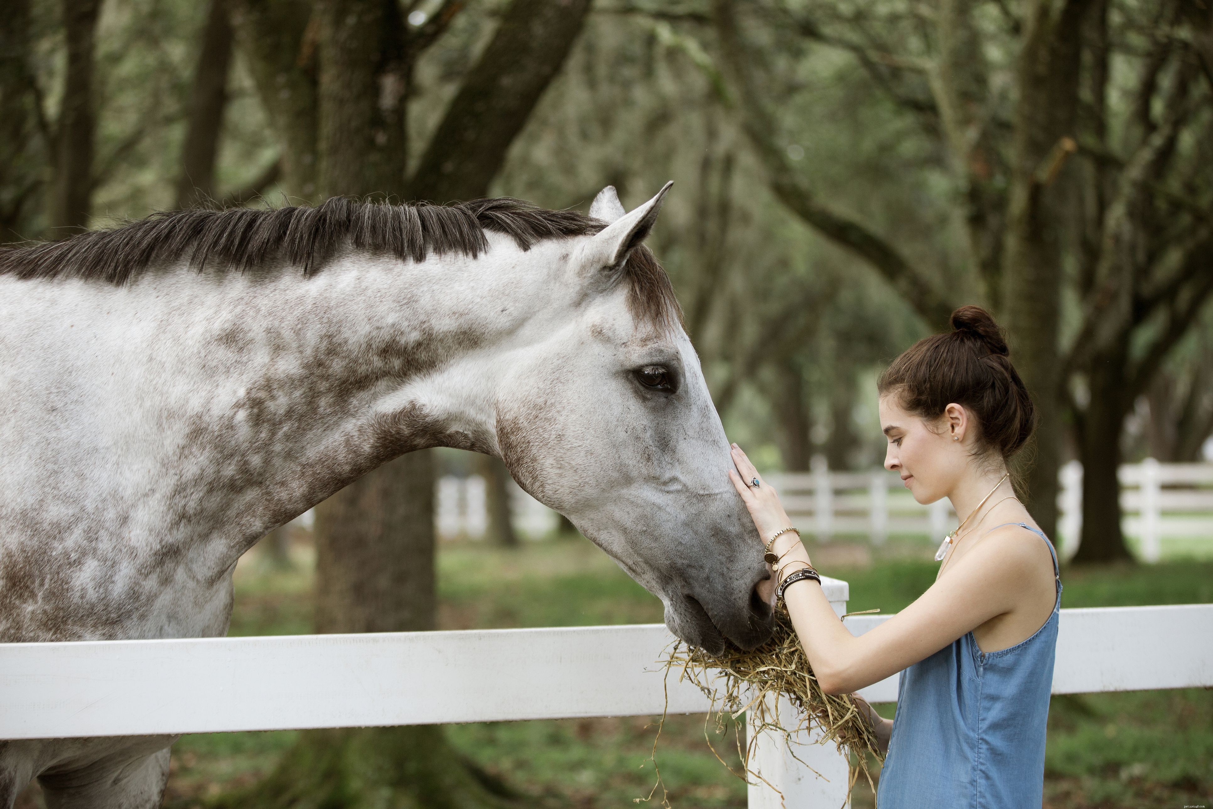 Prevent Horse Bucking: Proven Strategies for Calm Riding