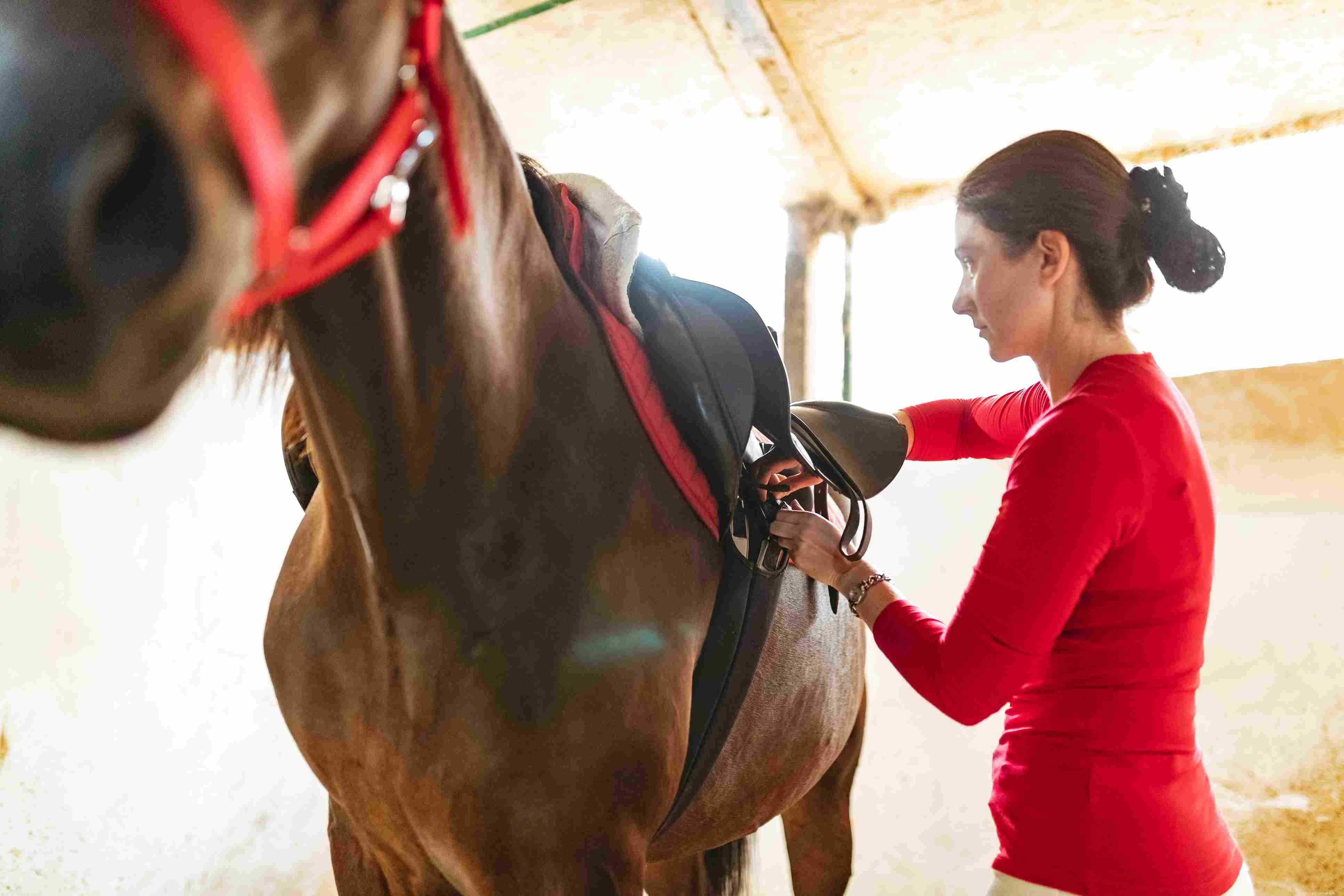 Prevent Horse Bucking: Proven Strategies for Calm Riding