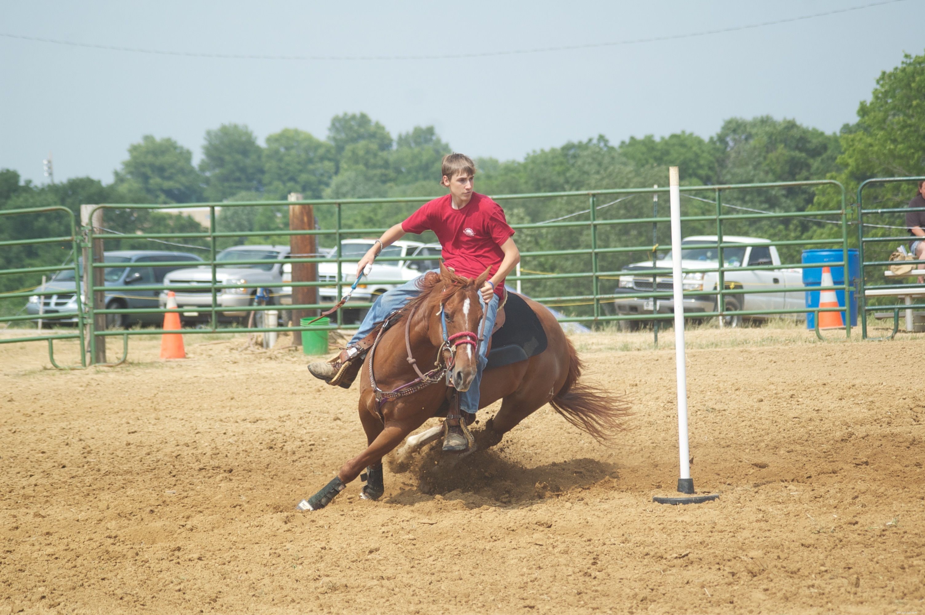 Master Pole Bending: A Beginner’s Guide to Speed and Precision