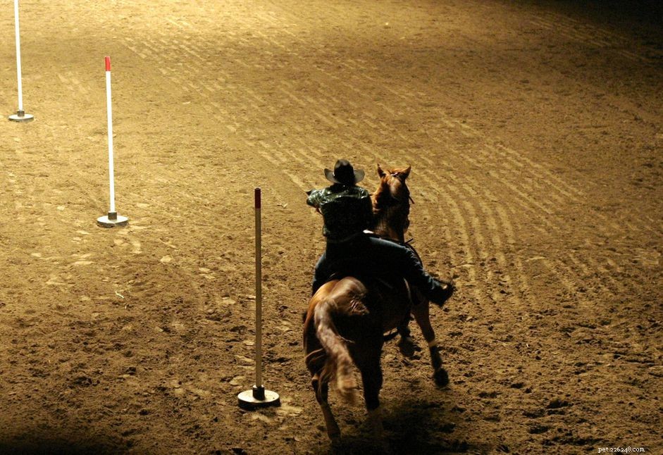 Master Pole Bending: A Beginner’s Guide to Speed and Precision