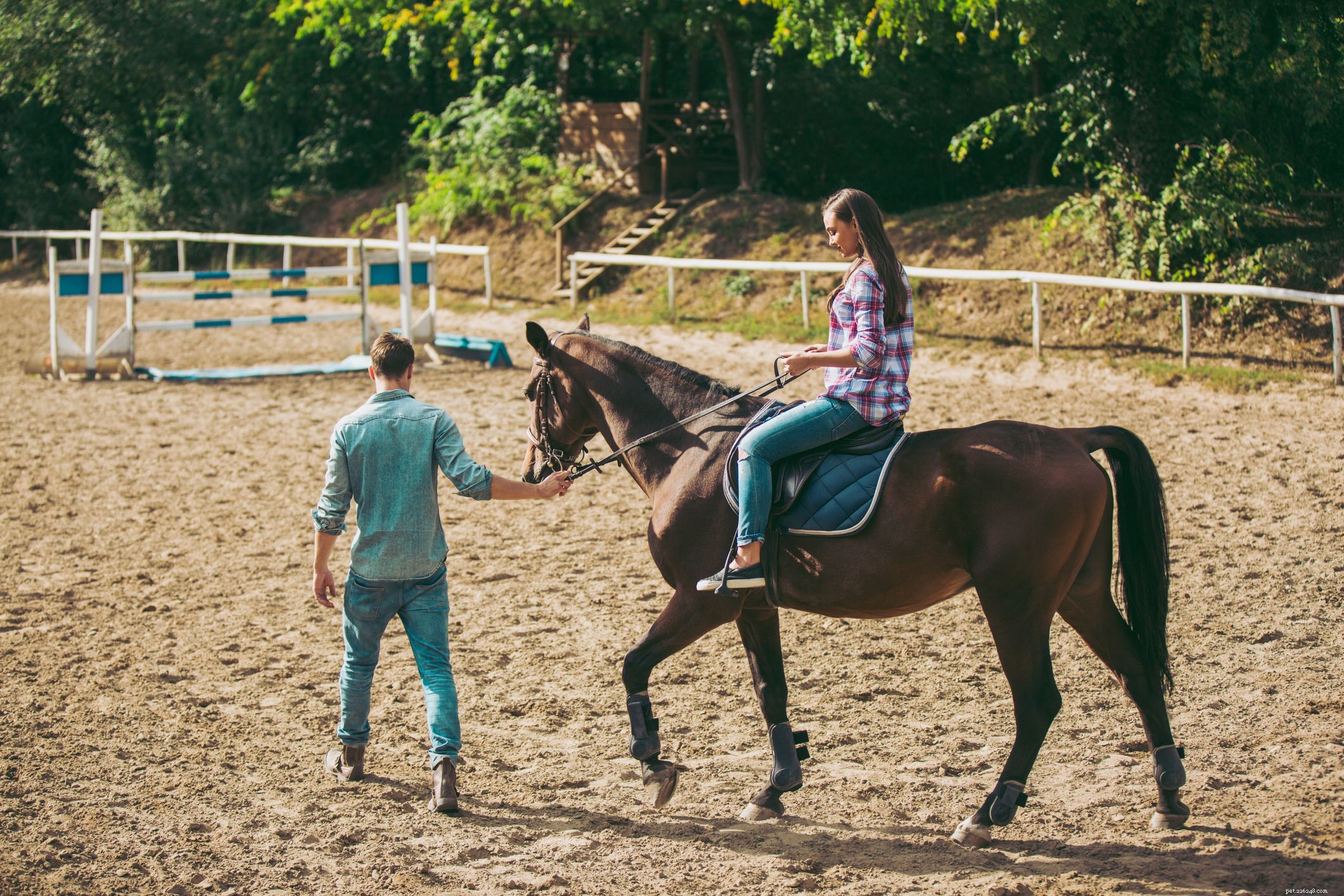 Master Pole Bending: A Beginner’s Guide to Speed and Precision