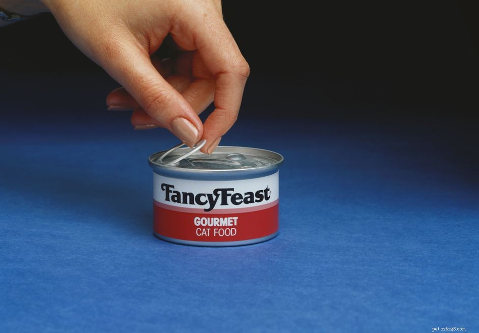 Decoding Cat Food Labels: A Guide to Choosing the Best Ingredients for Your Feline