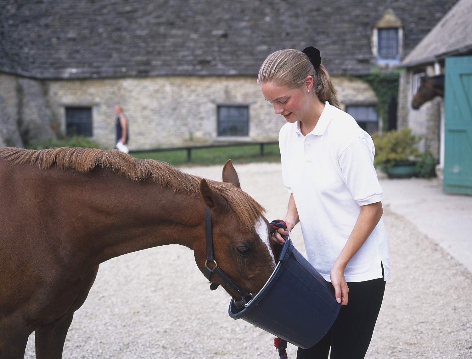 12 Clear Signs Your Horse Needs a Dental Check‑Up